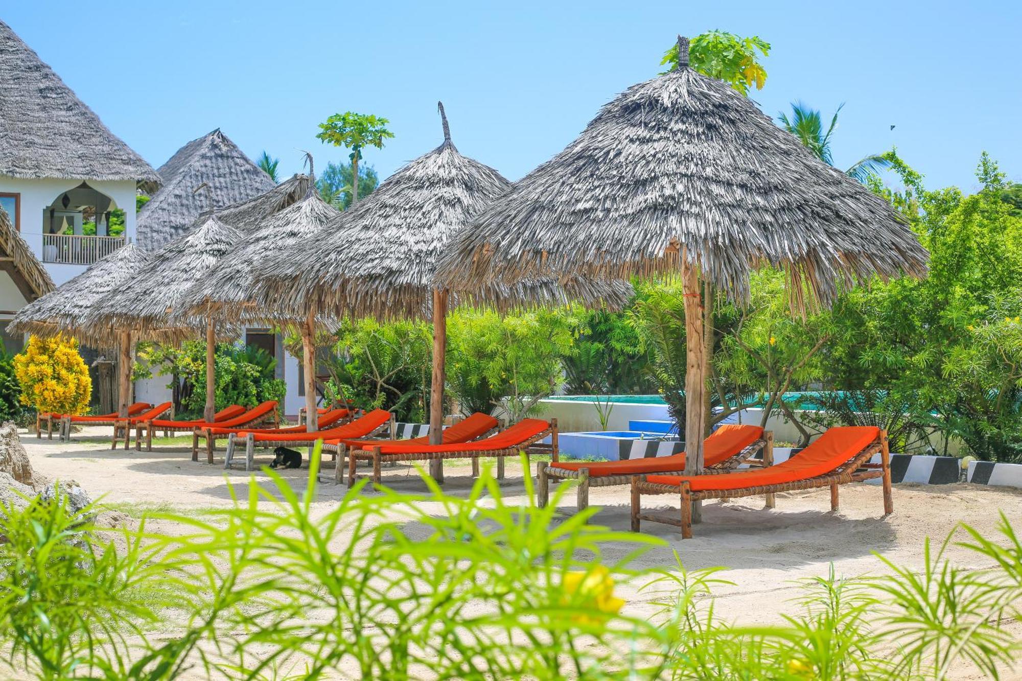 New Jambo Bungalows Падже Екстер'єр фото